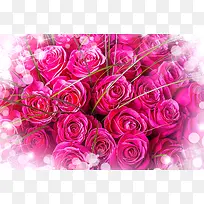 温馨浪漫玫瑰花背景-空若网 温馨浪漫玫瑰花背景-空若网
