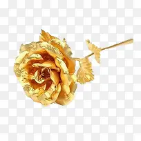 ��ɫõ��-������