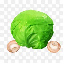 ���̰����㹽-������