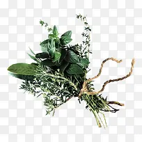 绿色蔬菜叶子-空若网 绿色蔬菜叶子-空若网