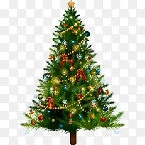 ʥ������ɫʥ����-������