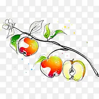 �ֻ�ƻ���ز�-������