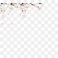 落花-空若网 落花-空若网