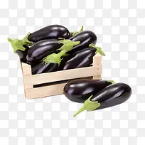 һ�������߲�-������