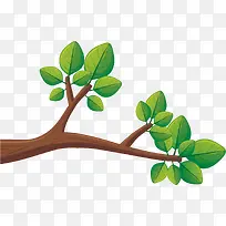 ʸ��ͼˮ����֦�ϵ�Ҷ��-������