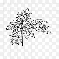 Êֻ氬Ҷ²Ý-¿ÕÈôÍø Êֻ氬Ҷ²Ý-¿ÕÈôÍø