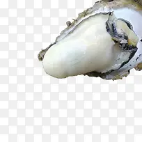 ���PNGͼƬ-������