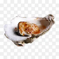 �óԵĿ����-������