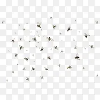 ��Ӭʸ���ز�-������