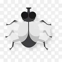 苍蝇-空若网 苍蝇-空若网