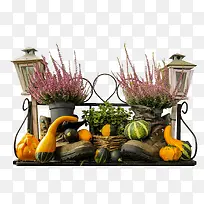 果园-空若网 果园-空若网