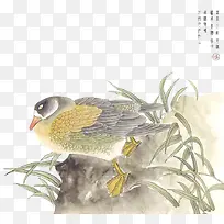 Ѽ��-������