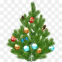 ʥ������ɫʥ����-������