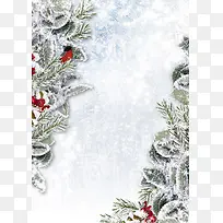 ʥ���ڱ�������-������