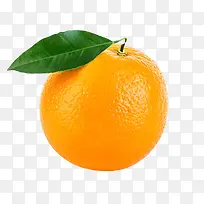 橙色香甜水果带叶子的奉节脐橙实-空若网 橙色香甜水果带叶子的奉节脐橙实-空若网