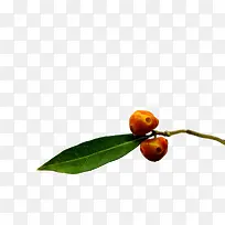 �ȴ�ˮ��-������