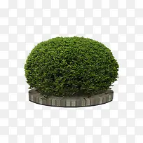 ��-������