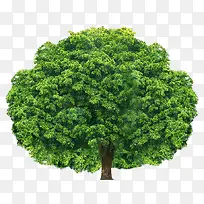 ����Բ�ξ��۴���-������