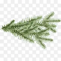 松树枝 布景 装饰 大自然 绿色-空若网 松树枝 布景 装饰 大自然 绿色-空若网