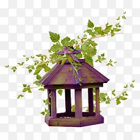 ľÖÊÄñÁýÊ÷Ö¦ËØ²Ä-¿ÕÈôÍø ľÖÊÄñÁýÊ÷Ö¦ËØ²Ä-¿ÕÈôÍø