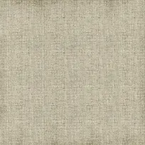 �鲼֯�ﱳ������-������