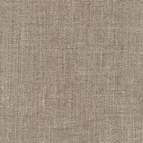 ���Ƶ��Ʊ���-������