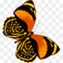 �ڽ�ɫ����-������