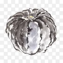 手绘老南瓜-空若网 手绘老南瓜-空若网