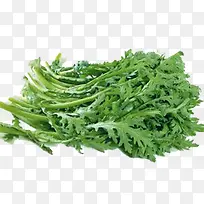 青色蔬菜-空若网 青色蔬菜-空若网