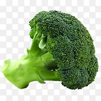 ��Ҭ��-������