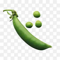 四季豆蔬菜-空若网 四季豆蔬菜-空若网