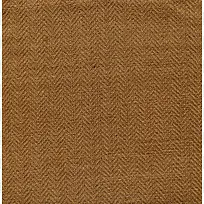 �鲼֯�ﱳ��-������