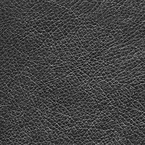 ��Ƥ��·����-������