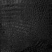 鳄鱼皮皮革背景-空若网 鳄鱼皮皮革背景-空若网
