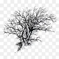 ����-������