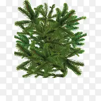 圣诞树素材-空若网 圣诞树素材-空若网