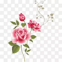 �ŵ�õ�壺��ͥ�ͻ�԰������Ʒ�֣��۲ʼ�����-�滨-������