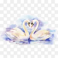 唯美水彩天鹅-空若网 唯美水彩天鹅-空若网
