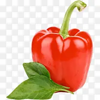 红色手绘青椒蔬菜-空若网 红色手绘青椒蔬菜-空若网