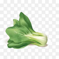 С�ײ�-������