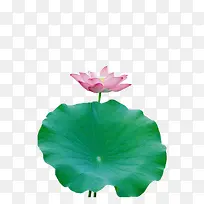 ����˵�ɻ�-������