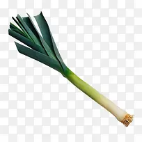 蔬菜大葱-空若网 蔬菜大葱-空若网