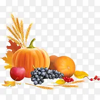 ����ʳ��-������