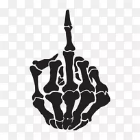 中指人体骨骼头骨指-中指-空若网 中指人体骨骼头骨指-中指-空若网