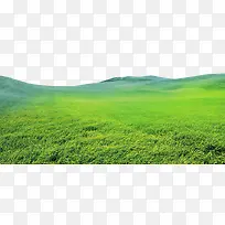 �̲ݴ�ɽ��������-������