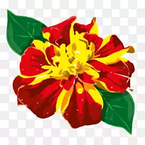 �л�����-������