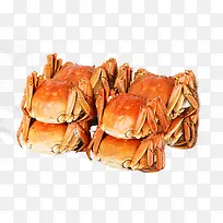 产品实物金黄色大闸蟹-空若网 产品实物金黄色大闸蟹-空若网