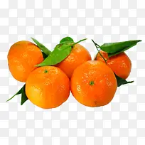 水果桔子-空若网 水果桔子-空若网