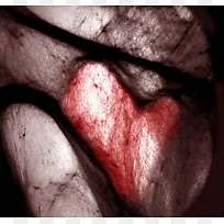 桃心与丝网背景-空若网 桃心与丝网背景-空若网