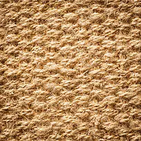 Ö¯ÎïµØÌº±³¾°-¿ÕÈôÍø Ö¯ÎïµØÌº±³¾°-¿ÕÈôÍø